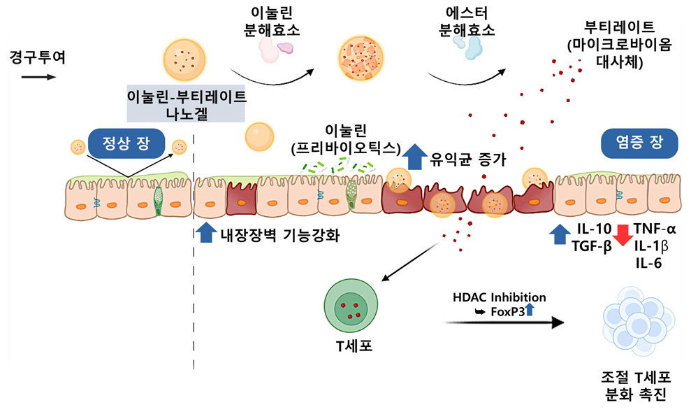 slide image 2