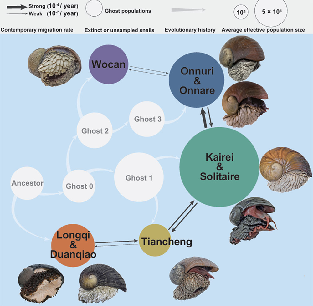 slide image 5